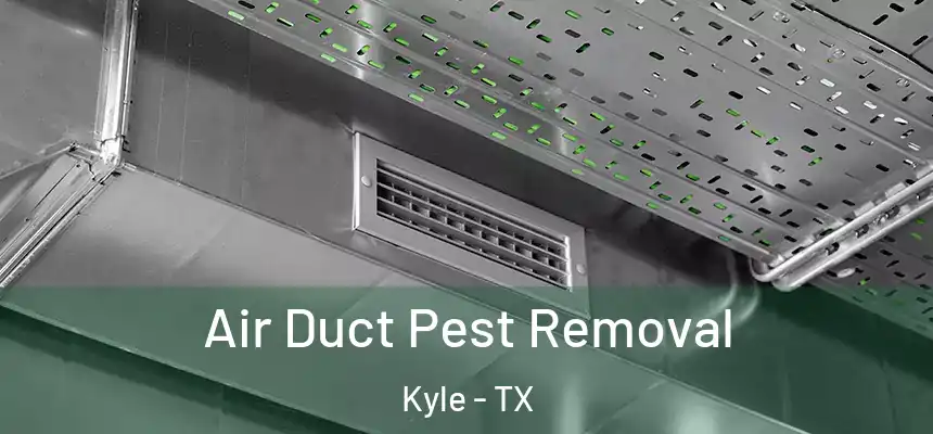 Air Duct Pest Removal Kyle - TX