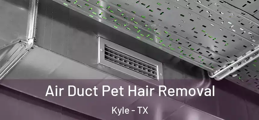  Air Duct Pet Hair Removal Kyle - TX