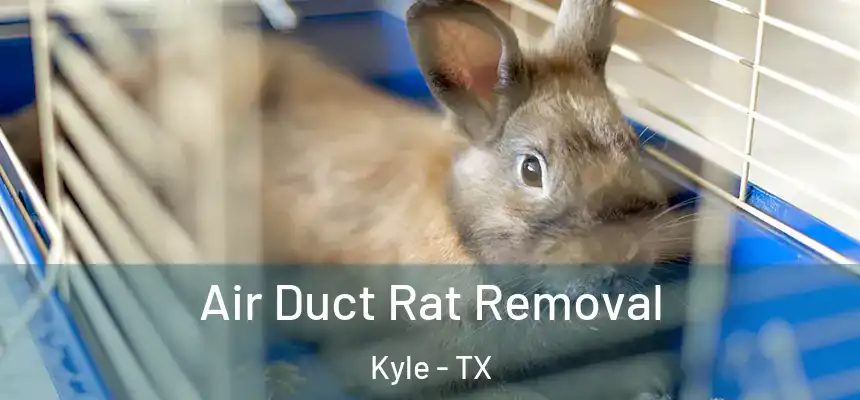  Air Duct Rat Removal Kyle - TX
