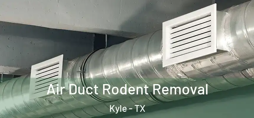  Air Duct Rodent Removal Kyle - TX