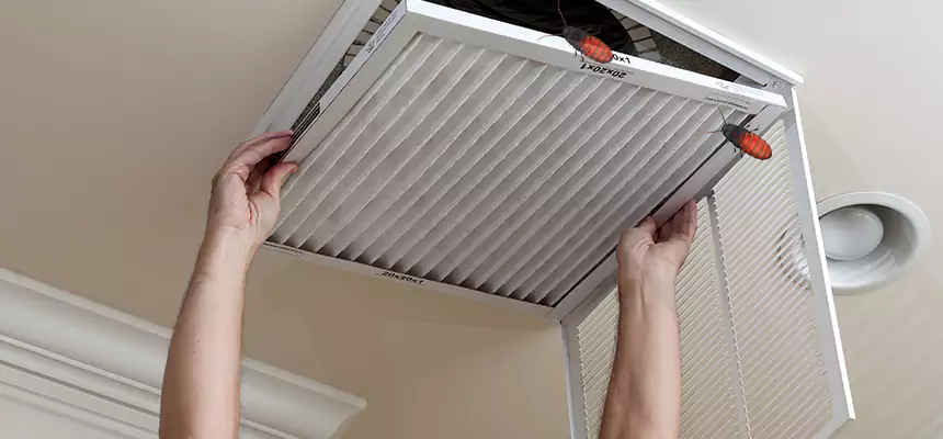 Preventive Cockroach-Proofing for Ducts in Kyle
