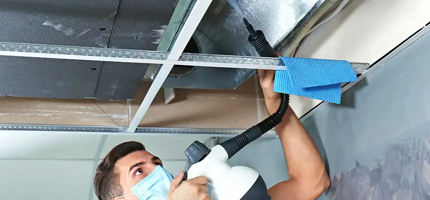 Our Air Duct Rodent Removal Services in Kyle, TX