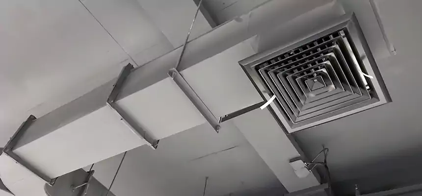 Restorative Allergy Relief Vent Cleaning – Coil, Blower & Housing Detail in Kyle