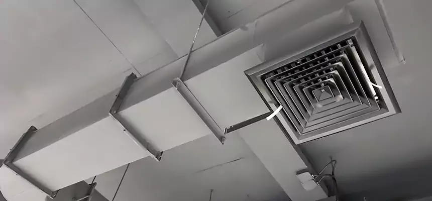 Our Pest Removal From Ducts Services in Kyle, TX