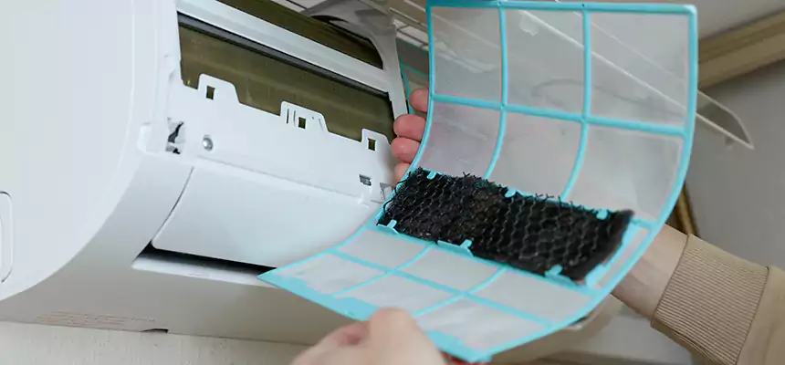 Gentle Ductwork Odor-Control Pet Dander Duct Cleaning in Kyle, TX