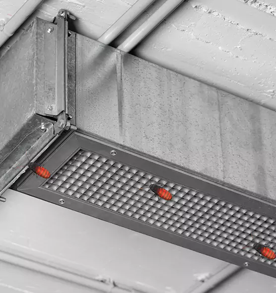 Affordable Insect Removal from Air Ducts in Kyle, TX