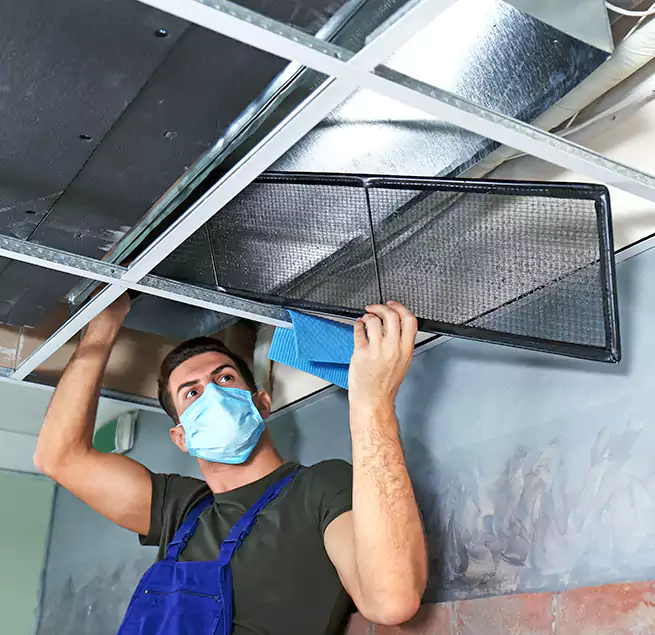 Why Homeowners Businesses Trust Us in Kyle, TX