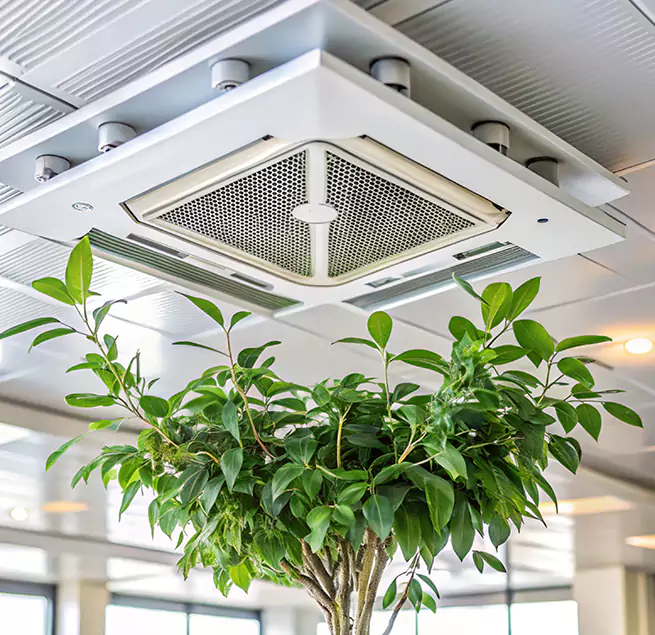 Why Homeowners & Businesses Trust Us in Kyle, TX?