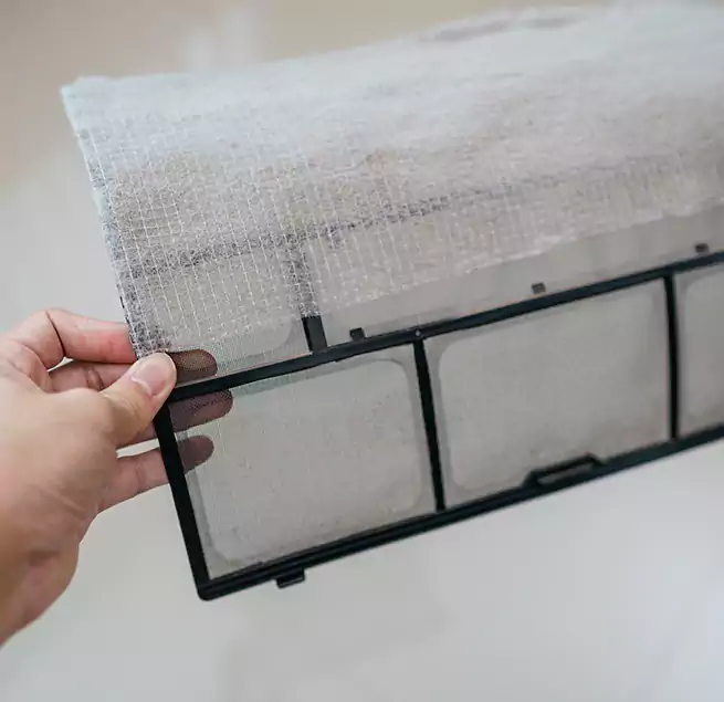 Why Homeowners & Businesses Trust Us in Kyle, TX?